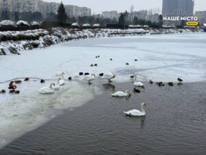27 лютого: День Прокопія Декаполіта та прикмети дня