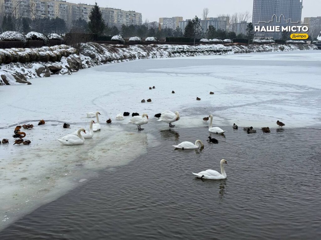 Нестабільна погода: мокрий сніг і дощ обіцяють у Дніпрі