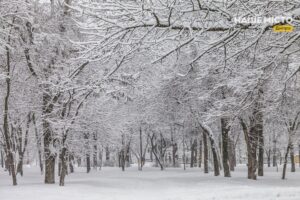 Погодні випробування: циклон наближається до України