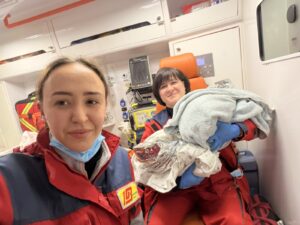 У Кривому Розі жінка народила двійню вдома, не підозрюючи вагітності