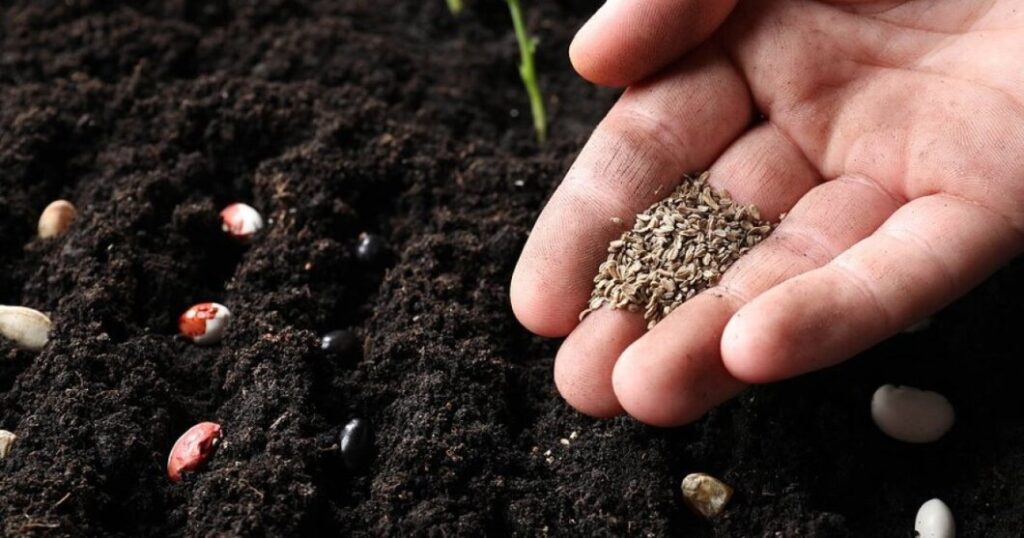 Коли садити квіти і овочі у квітні: кращі дні для висадки