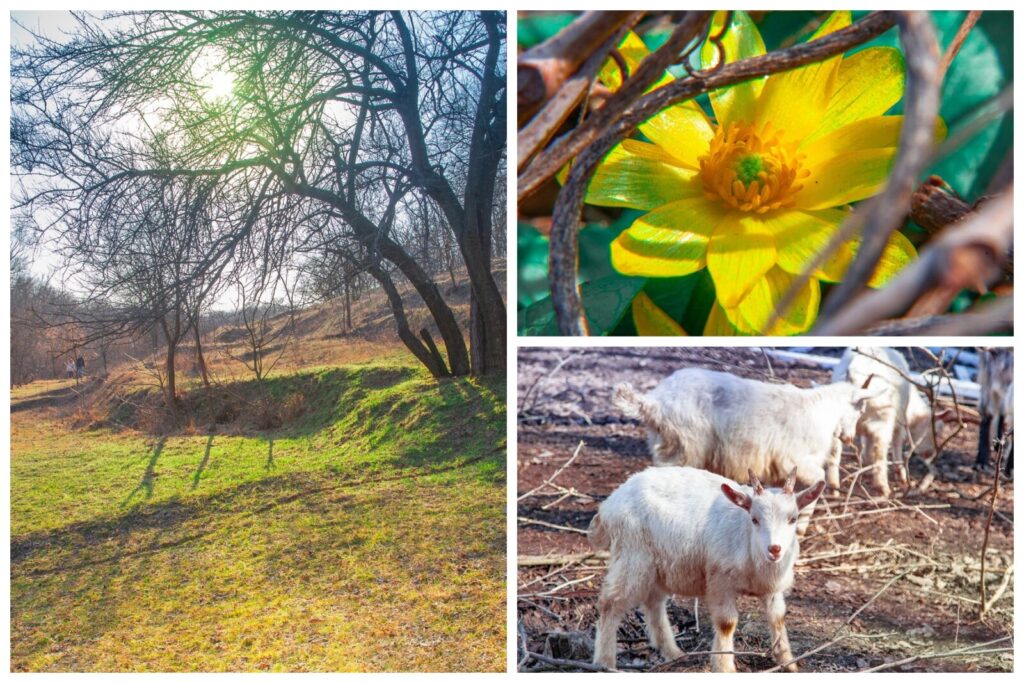 Весняне пробудження Тунельної балки в Дніпрі на фото