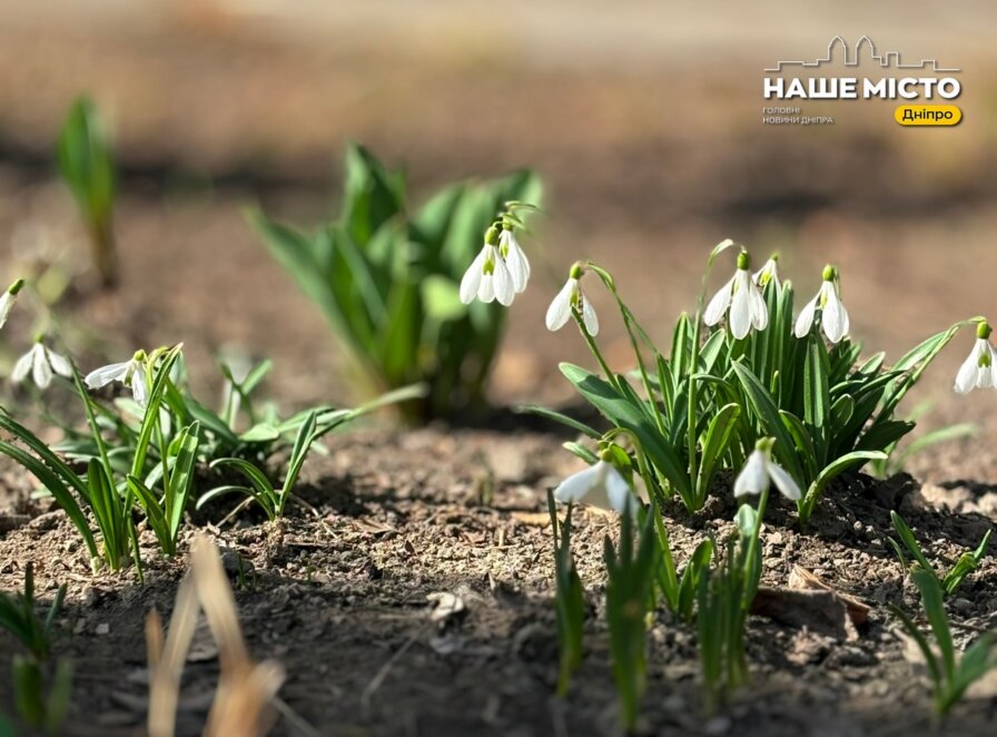 Свята 27 березня: пам’ять мучениці Матрони та народні прикмети