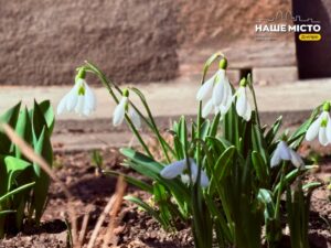 Свята та прикмети 26 березня в Україні