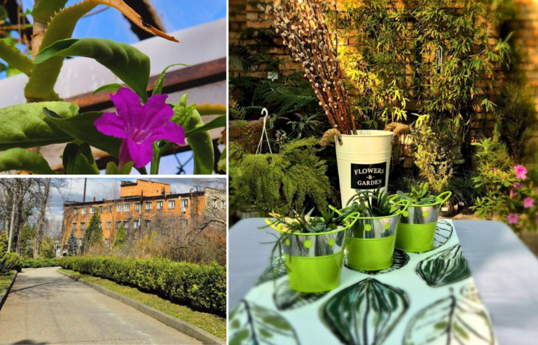 Ботсад ДНУ у Дніпрі запрошує на весняні заходи