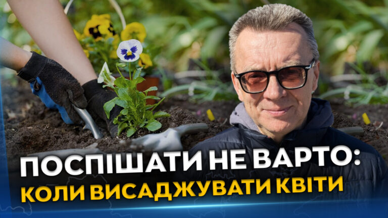 Чекайте з висадкою квітів: ґрунт у Дніпрі ще не готовий