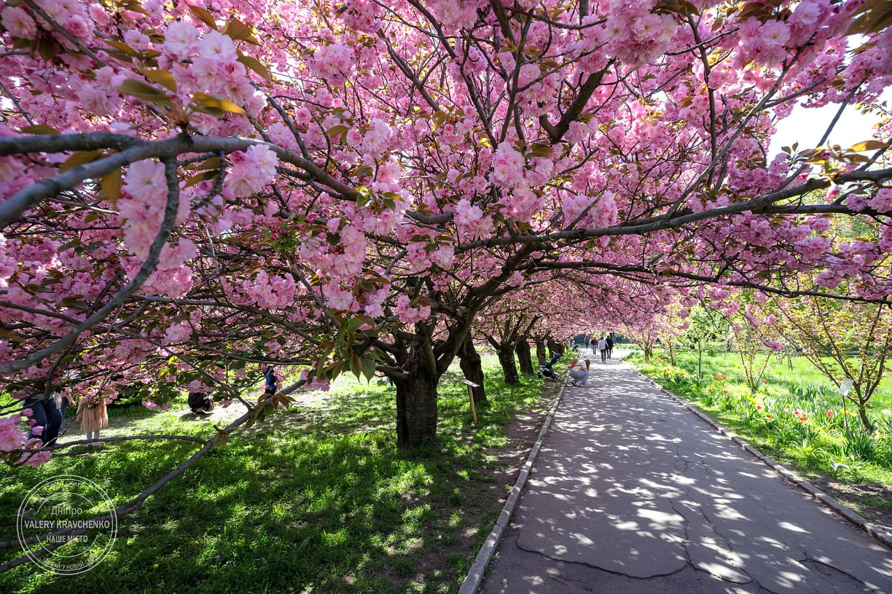 Тепло до +15 та нічні заморозки в Україні: погода на тиждень