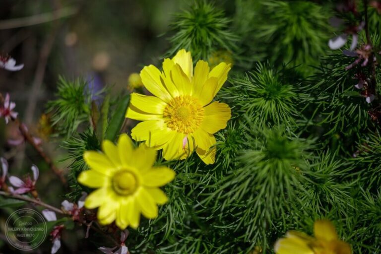 23 березня: свято, прикмети та традиції