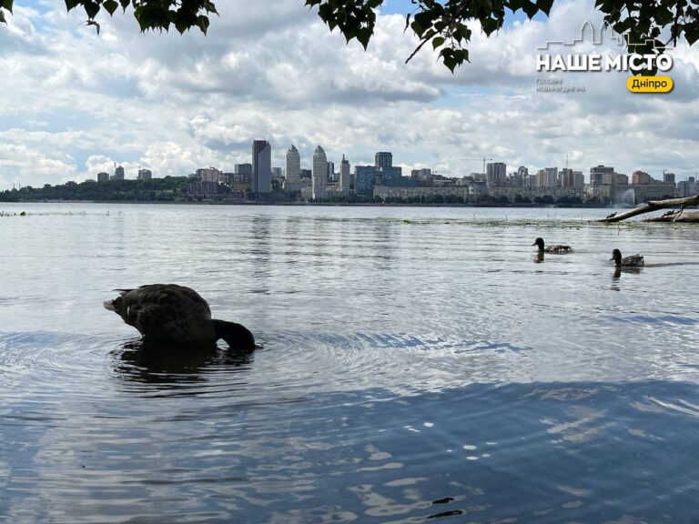 Всесвітній день енергоефективності: економія для довкілля