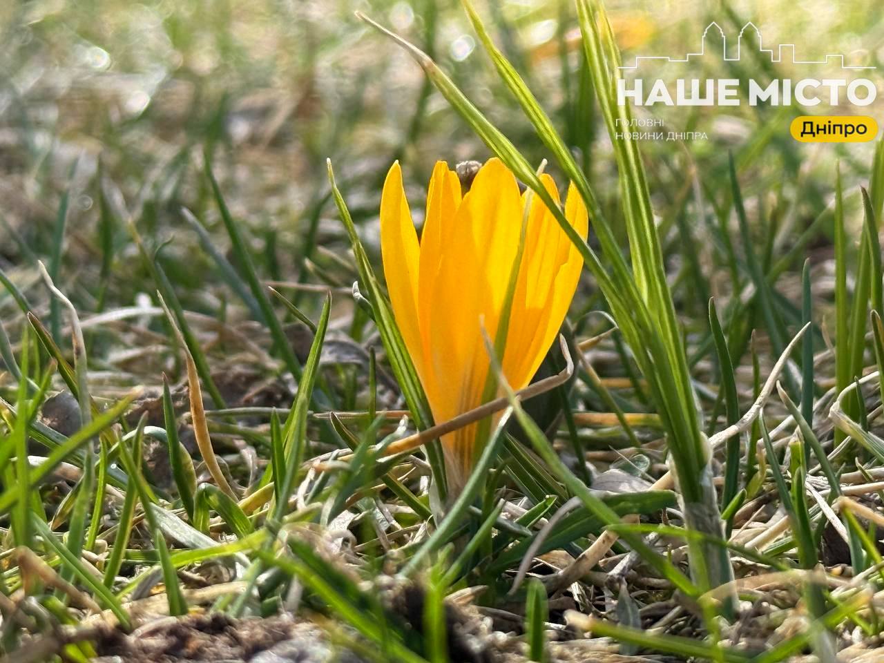 17 березня: традиції, заборони та народні прикмети