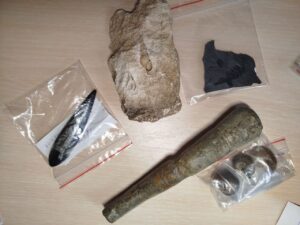 Унікальна палеонтологічна колекція поповнила музей у Дніпрі