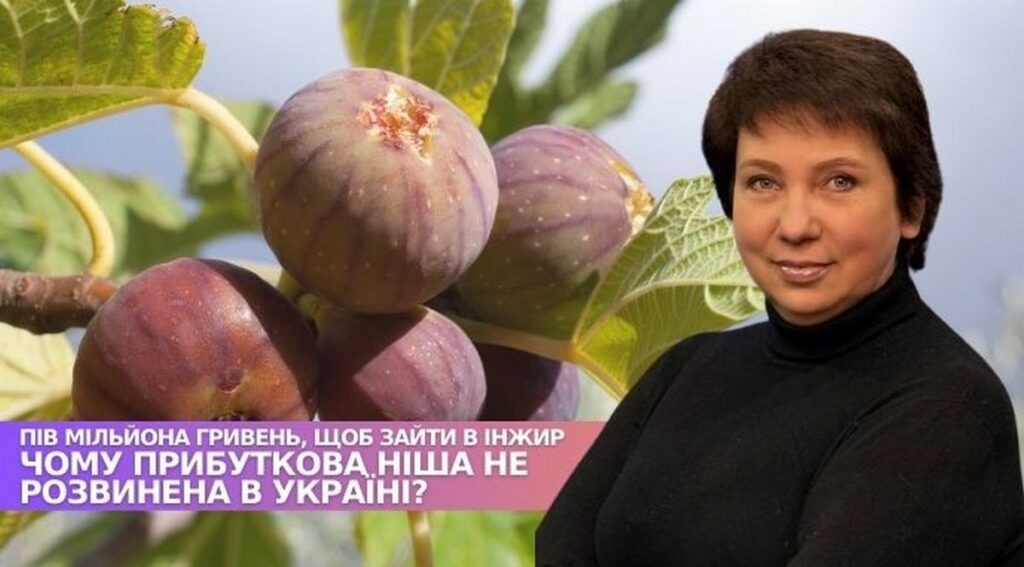 На Дніпропетровщині підприємиця вирощує понад 100 сортів інжиру