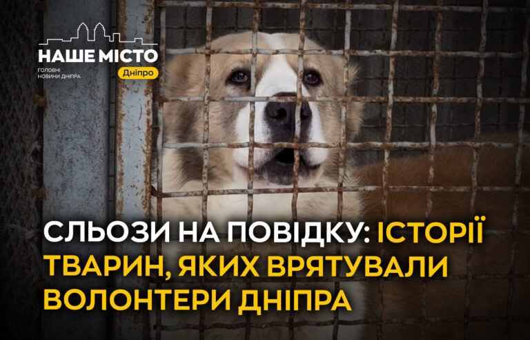 Дніпровські волонтери рятують тварин з прифронтових зон