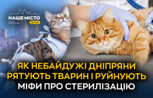 Захист та стерилізація тварин у Дніпрі