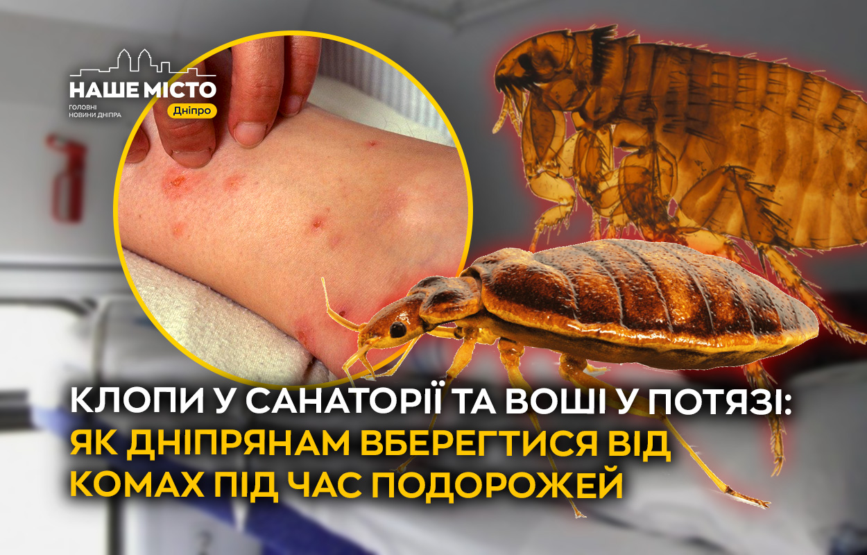 Як уникнути неприємних зустрічей з клопами і вошами в подорожах