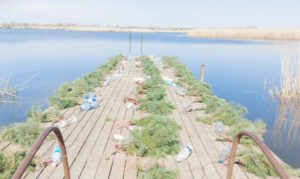 На Дніпровському водосховищі встановили 1000 штучних нерестових гнізд