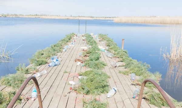 На Дніпровському водосховищі встановили 1000 штучних нерестових гнізд