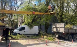 У Дніпрі триває ліквідація наслідків буревію: понад 270 заявок опрацьовано