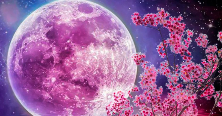 Квіткова повня 1 травня: вплив на знаки зодіаку та внутрішні зміни