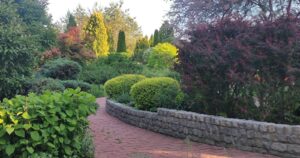 Ландшафтний парк Світлани Кульбашної біля Дніпра запрошує на відпочинок