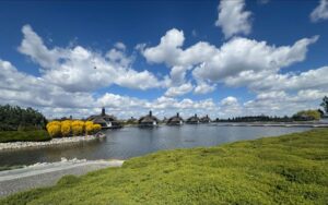 Весна в яхт-клубі «Січ»: зелень і птахи на березі Дніпра