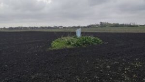 Могила Горпини Кочубей у селі Могилів: що відомо про знахідку