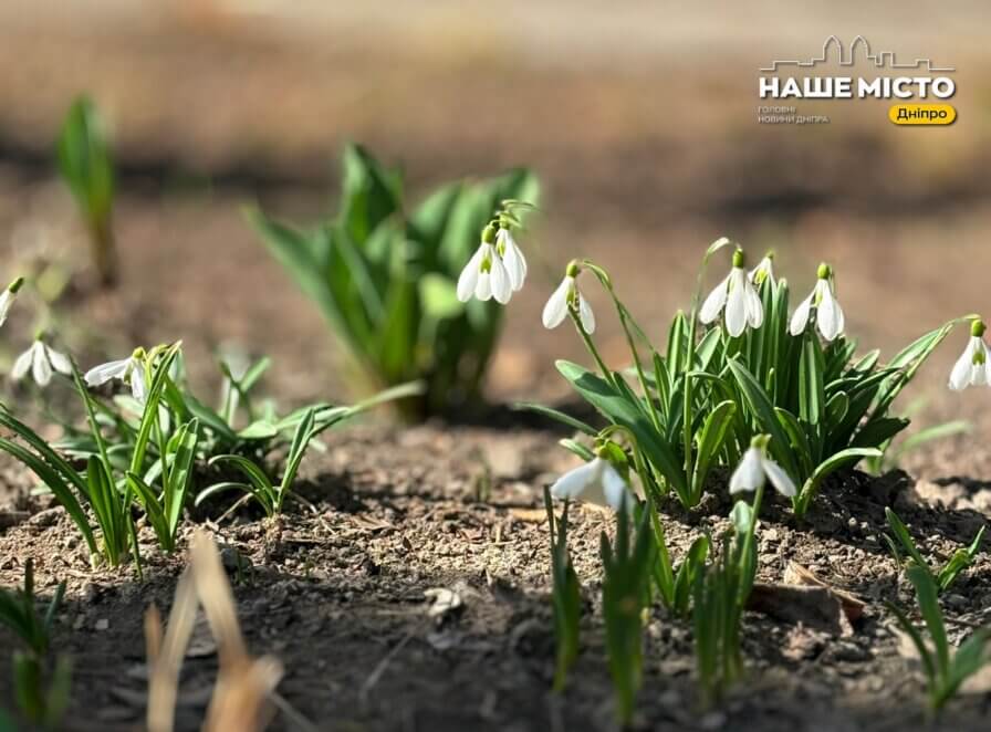 Свято 4 квітня: традиції, заборони та народні прикмети погоди