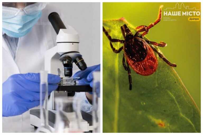 Де у Дніпрі здати аналіз на бореліоз у сезон активності кліщів