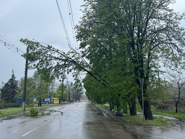 Негода у Дніпрі: сильний вітер та дощ спричинили пошкодження