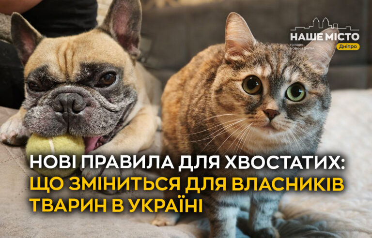 Нові стандарти догляду за домашніми тваринами в Україні з березня 2024