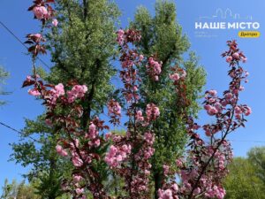 24 квітня: традиції, прикмети та заборони дня