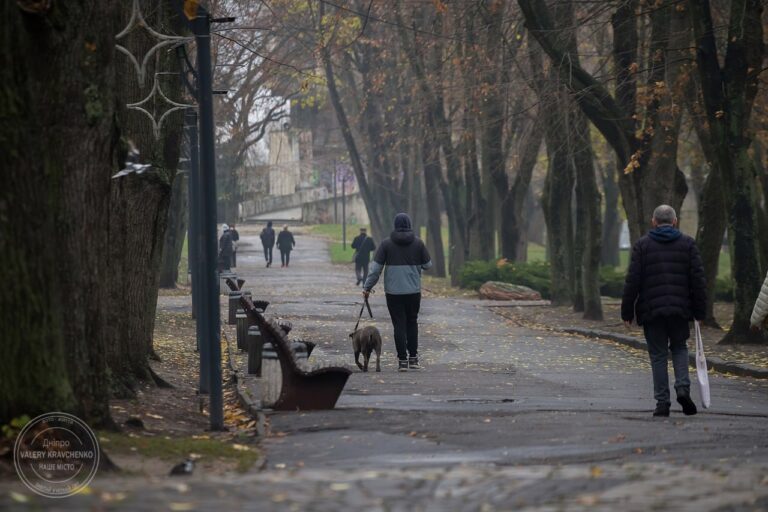 Заморозки на початку та потепління наприкінці тижня в Україні