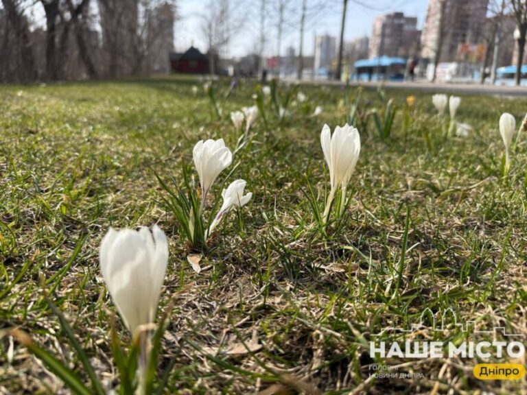 Свято 3 квітня: традиції, прикмети та заборони
