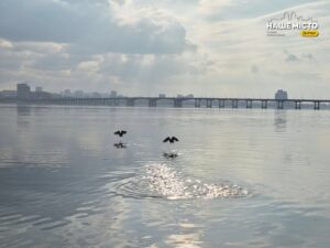 Штормове попередження у Дніпрі на 8 квітня: очікуються заморозки та дощ