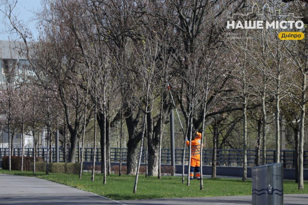 В Дніпрі тривають роботи з догляду за зеленими зонами на Набережній Перемоги