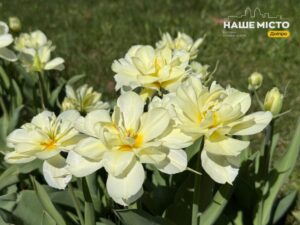 21 квітня: традиції, прикмети та заборони дня