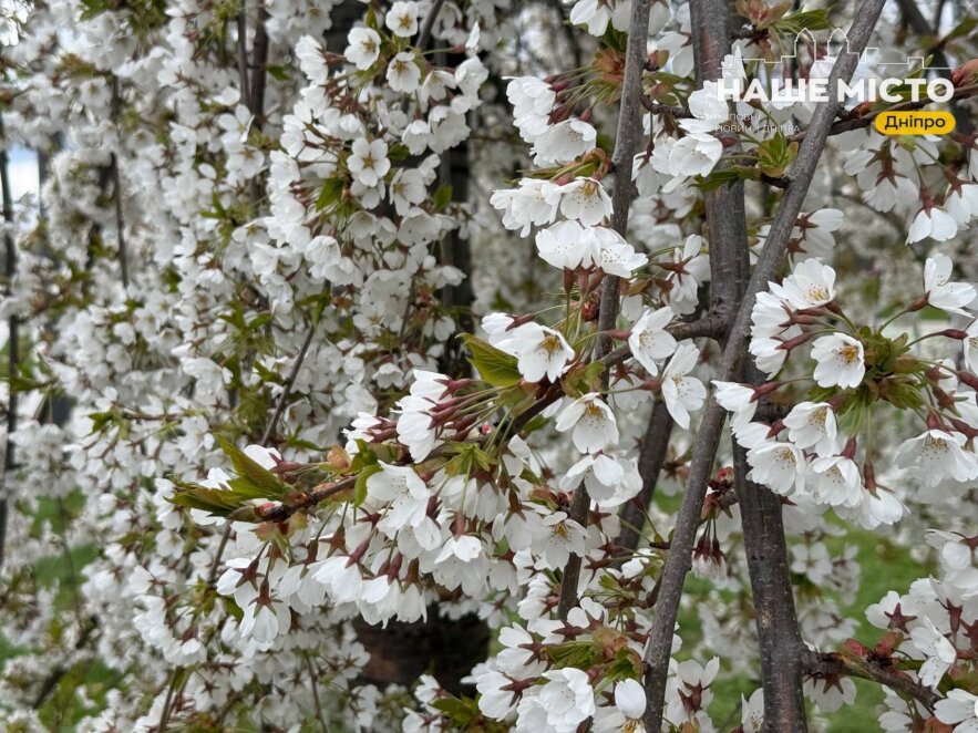 Свято 17 квітня: традиції, прикмети та заборони