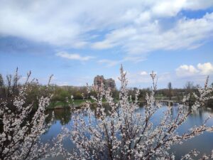 В Україні очікується найхолодніший квітень за 30 років через арктичне повітря