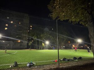 У Дніпрі зросла кількість випадків вандалізму в міських парках