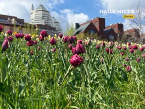 Погода на вихідних у Дніпрі: до +19 градусів і дощі