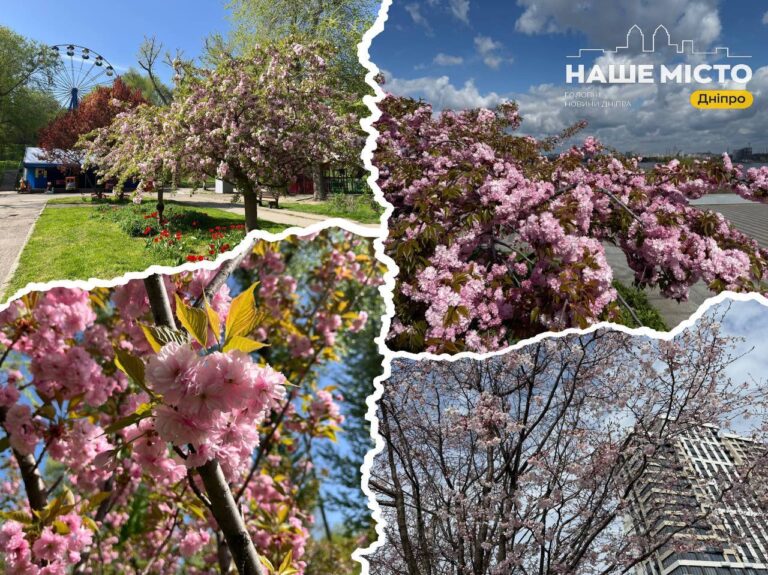 Де у Дніпрі побачити цвітіння сакур: найкращі місця