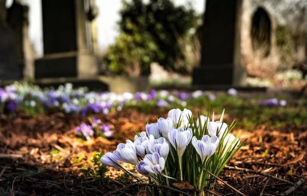 Проводи-2026: коли відвідувати кладовища та особливості дати