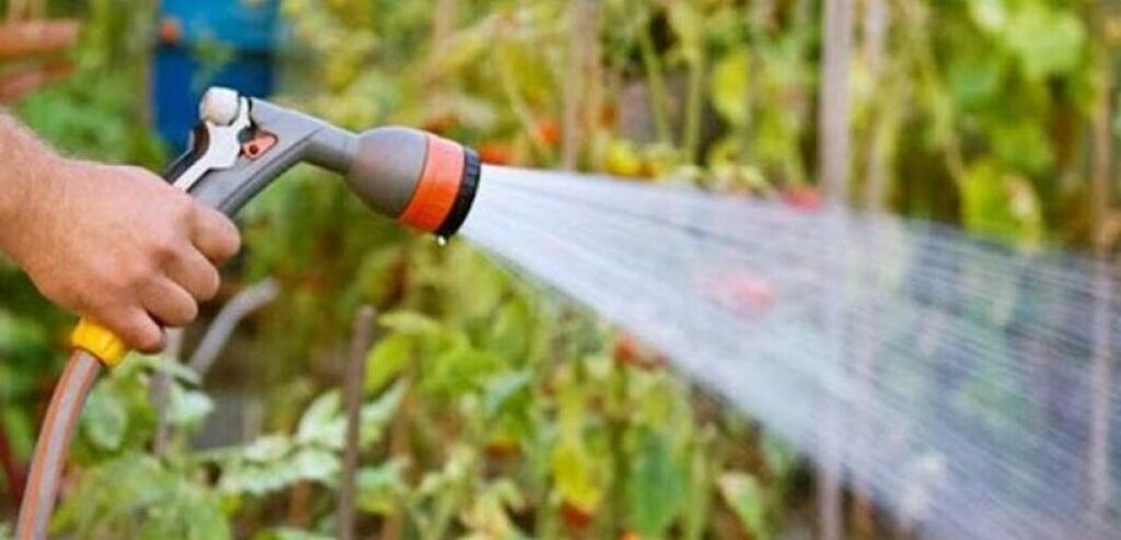 Старт сезону поливу в Дніпрі 2026: як і коли платитимуть мешканці приватного сектору