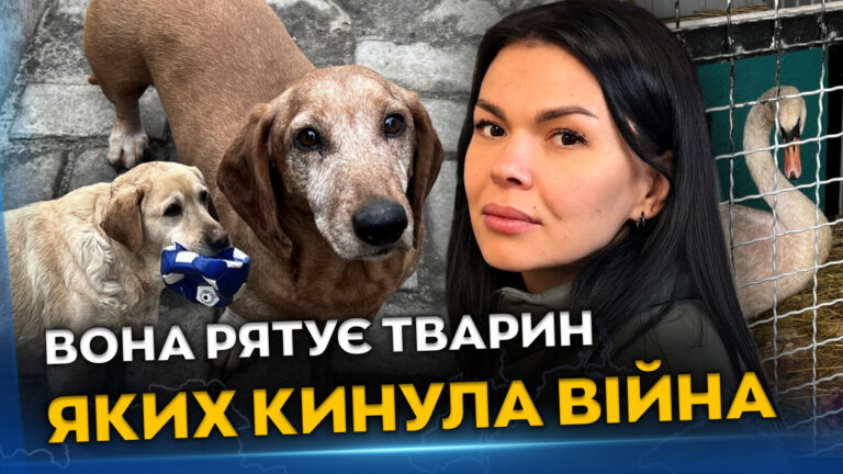 Волонтерка з Дніпра рятує тварин із зони бойових дій понад 15 років