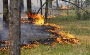 Пожежна небезпека пʼятого класу в Дніпрі та області до 13 травня