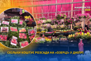 Ціни на розсаду та квіти на ринку «Озерка» у Дніпрі у травні