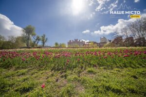 1528 доба війни: ніч у Дніпрі без серйозних проблем