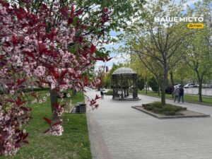 Весна в Лівобережному-3: прогулянка травневим районом Дніпра