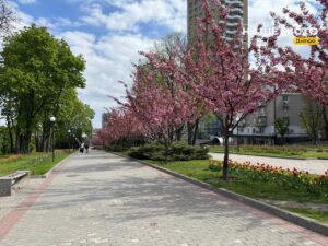 5 травня у Дніпрі очікується майже літня спека до +23°C
