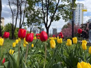 Свято 27 травня: традиції, прикмети та народні забобони